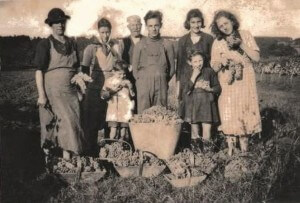 Photo de Felix et Elisabeth et leur famille pendant les vendanges