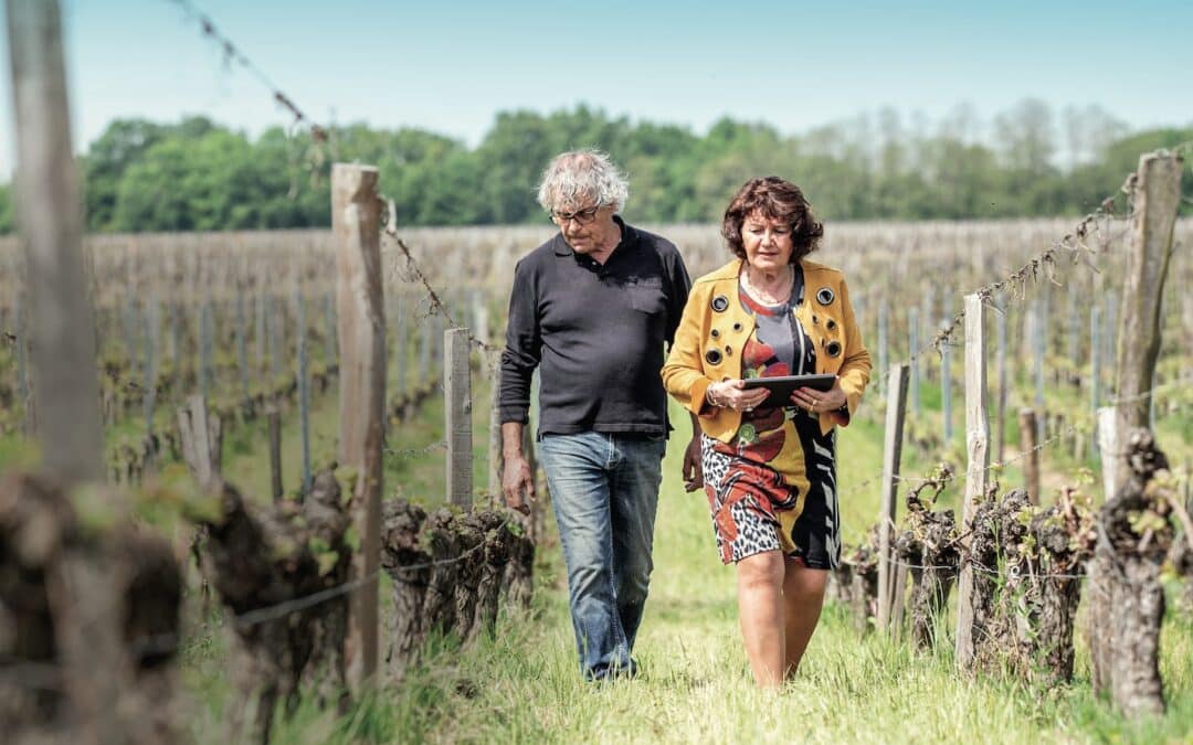 « Les vignes s’affichent en ligne »